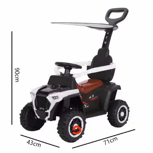 Carrito Infantil 3 en 1 con Empuje y Música