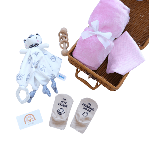 Set de regalo para baby shower para niño o niña - Evango Bebes SV